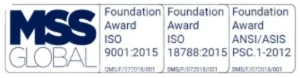MSS Global Blue Award